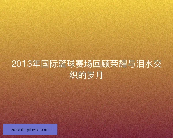 2013年国际篮球赛场回顾荣耀与泪水交织的岁月