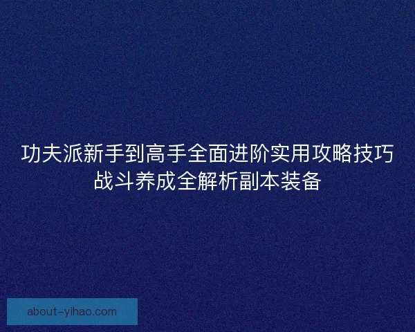 功夫派新手到高手全面进阶实用攻略技巧战斗养成全解析副本装备
