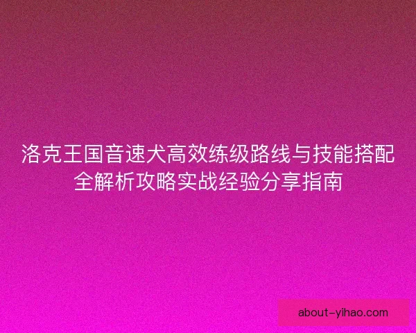 洛克王国音速犬高效练级路线与技能搭配全解析攻略实战经验分享指南